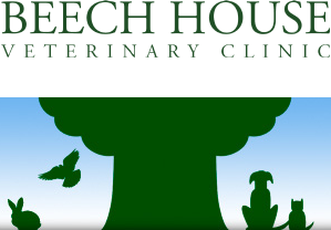 Beech House Veterinary Clinic logo image