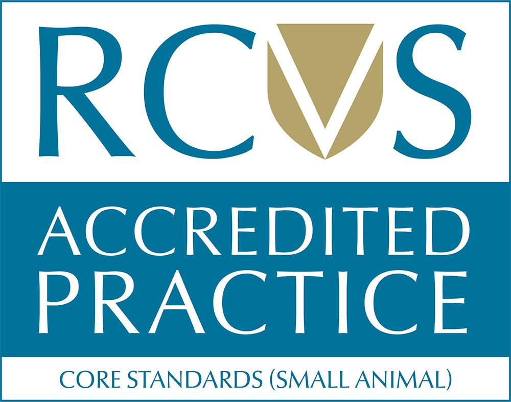 Beech House Vets In Sheffield Is RCVS Accredited